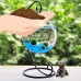 Micro Terrariums Landscape Hob Iron Bottle Glass Ball Hanging Bracket DIY Cabin Hook Pots & Planters Stand   